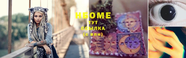 сатива Белокуриха