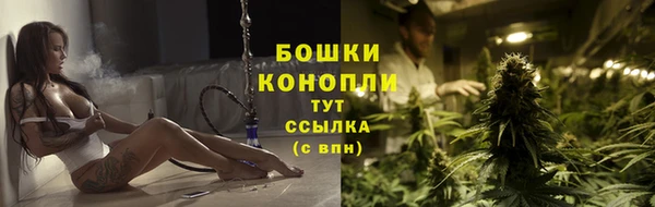 сатива Белокуриха