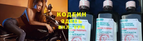 сатива Белокуриха