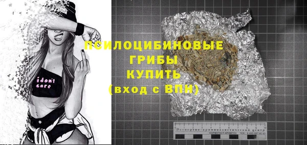сатива Белокуриха