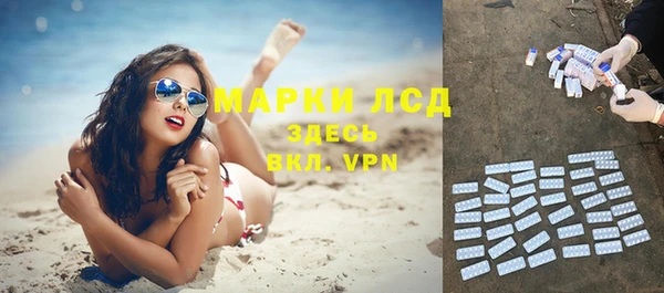 сатива Белокуриха