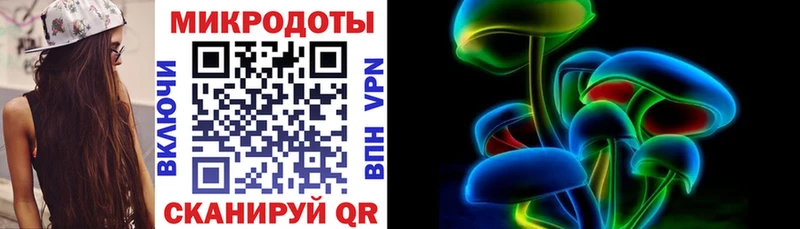 Псилоцибиновые грибы Psilocybe  Вязьма 