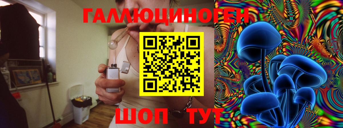 Вязьма  Псилоцибиновые грибы прущие грибы  Вход с VPN 