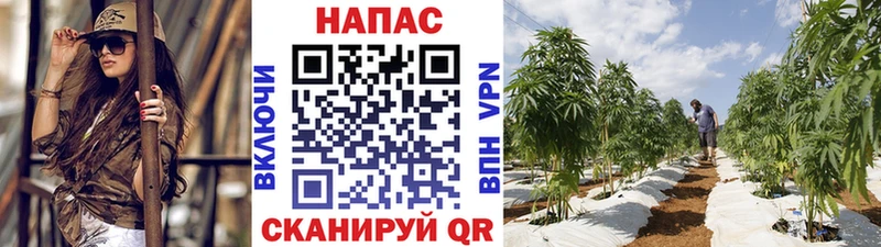 Марихуана Amnesia  Вязьма 